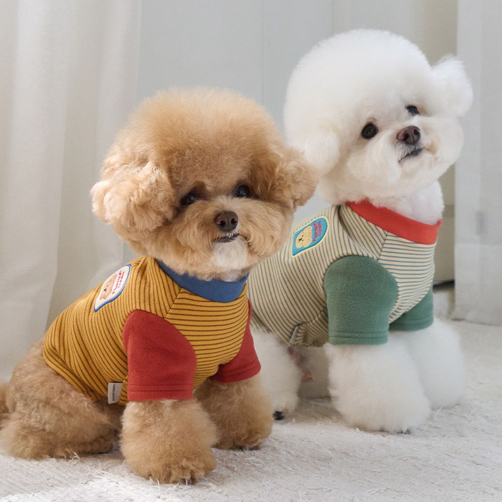 8ac8e02d9d77a838f769ace3674b5393