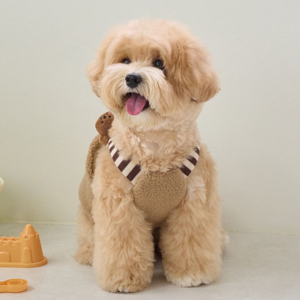 a561148f5da7d5c5fdd59ea16ef8d452