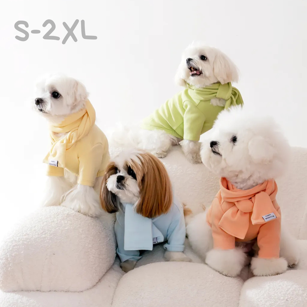 image_2D137151-4258-42BA-97E3-10D78A0F6995_1762414392