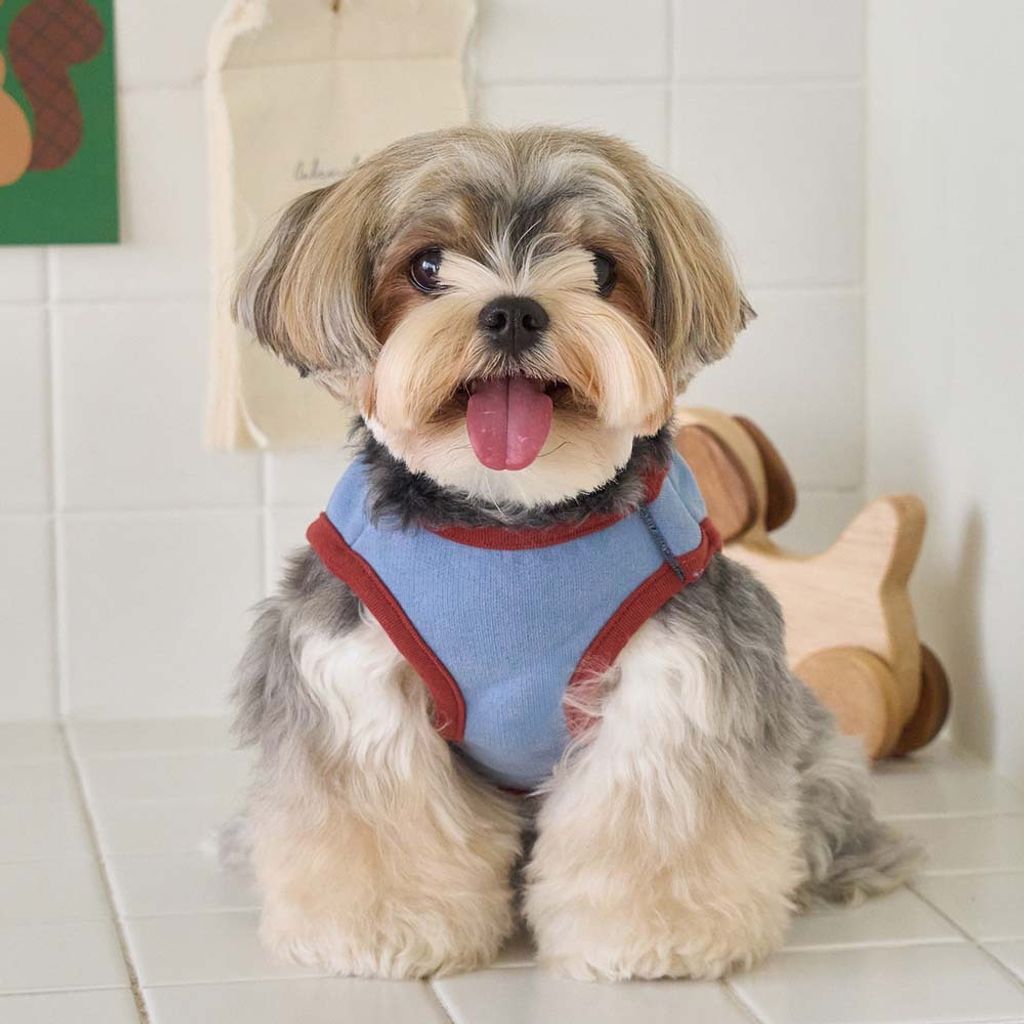 b6d8600eaa539068db121ab48af68fb4