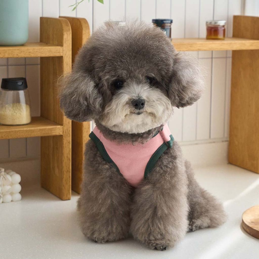 b1cf5f5b5f4939471b74eca130070e2b