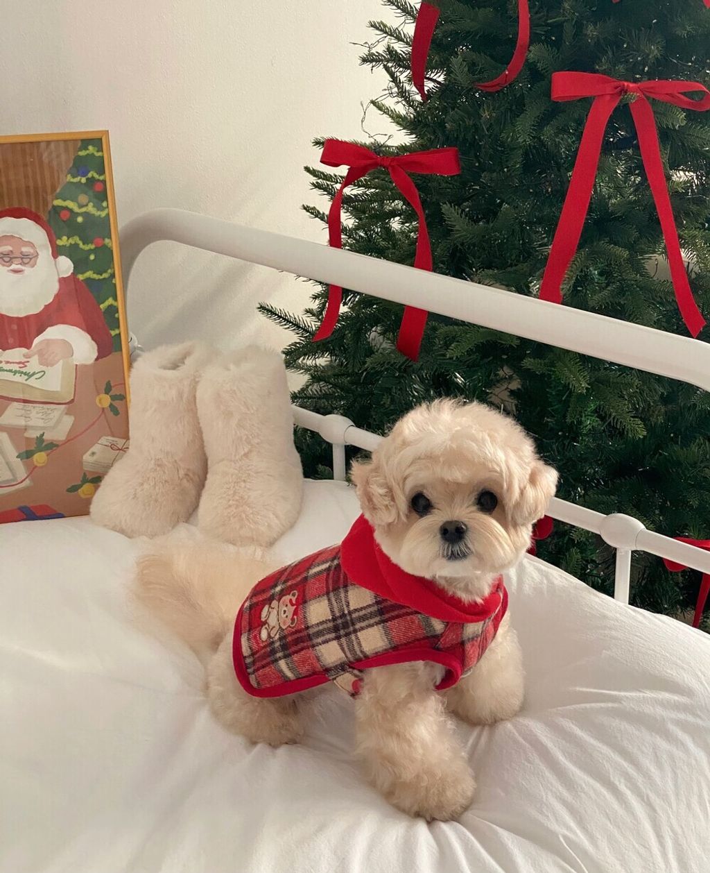 image_1764914351969_1000