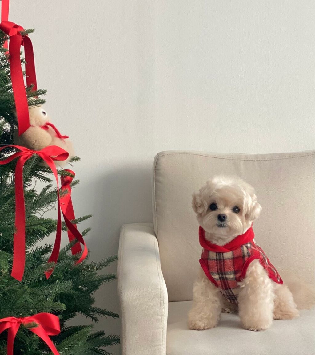 image_1764912694813_1000