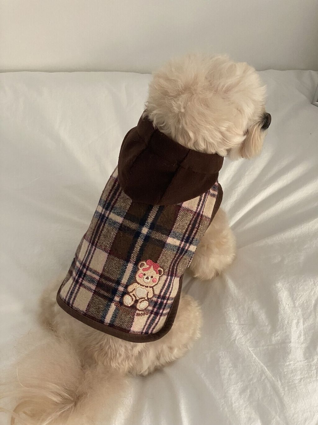 image_1764917514730_1000 (1)