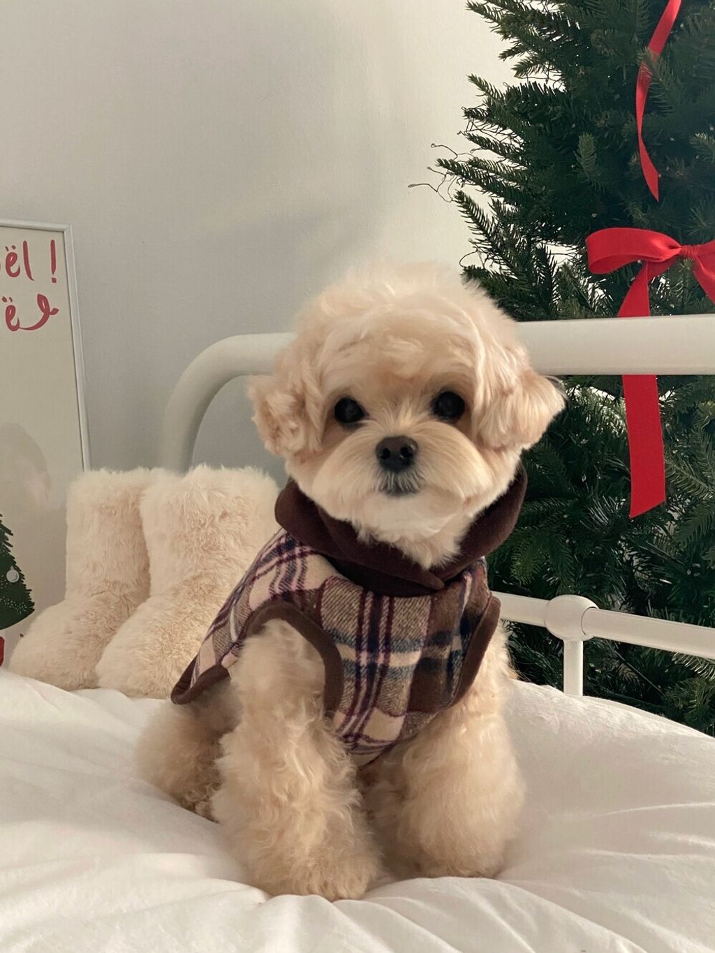 image_1764917540462_1000