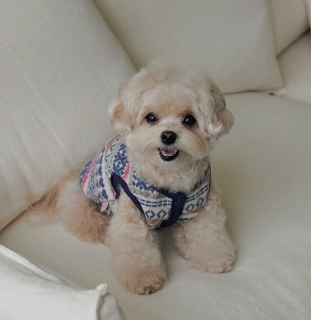 image_1733894189668_1000