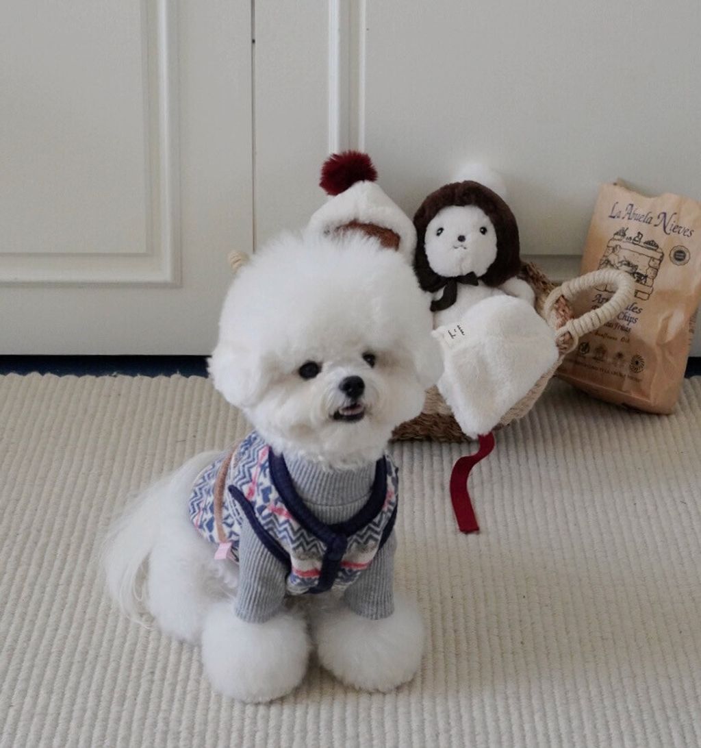 image_1733892085772_1000