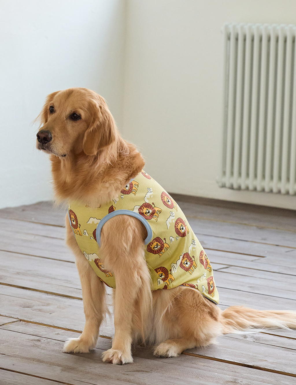 PhotoshopExtension_Image (28)