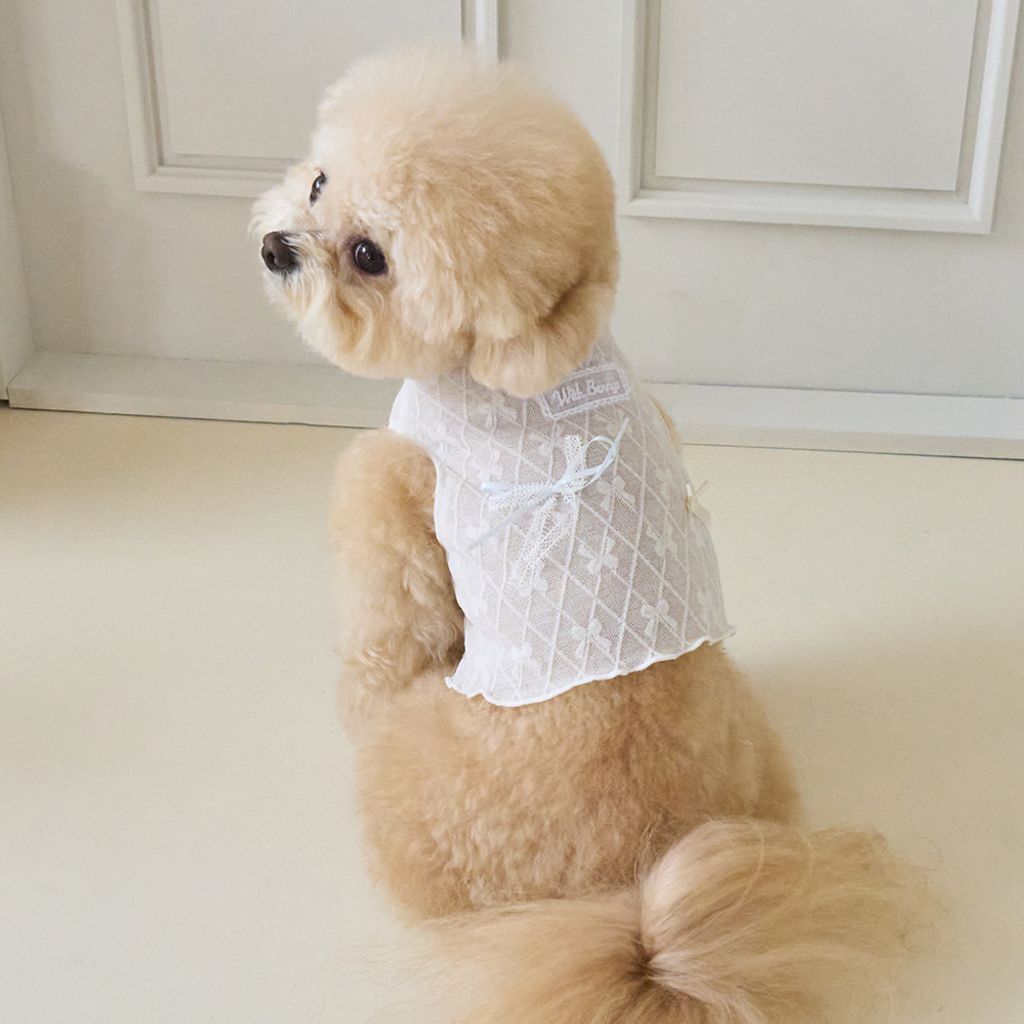 Bennys Ribbonade Crop T-shirt White_Thumb