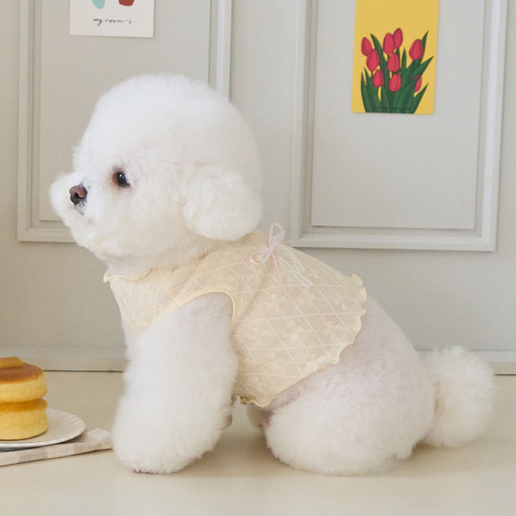 Bennys Ribbonade Crop T-shirt Yellow_Thumb