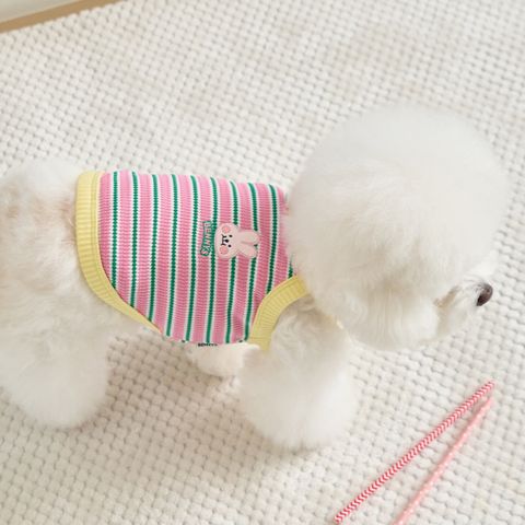 Bennys Lollipop Crop Top Pink_thumb