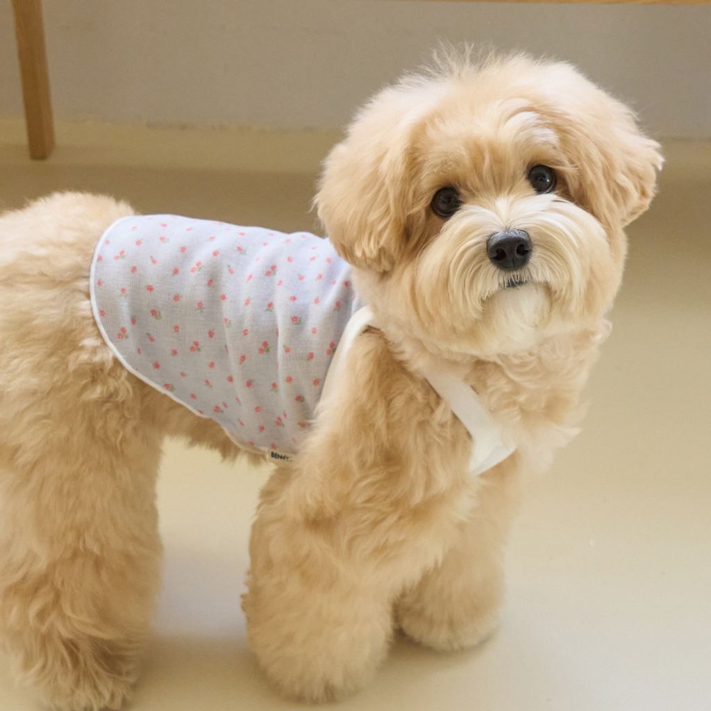 Bennys Breeze Crop Top Sky Blue_Thumb