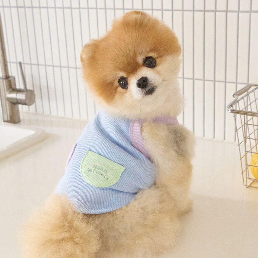 Bennys Palette Crop Top Sky Blue_thumb