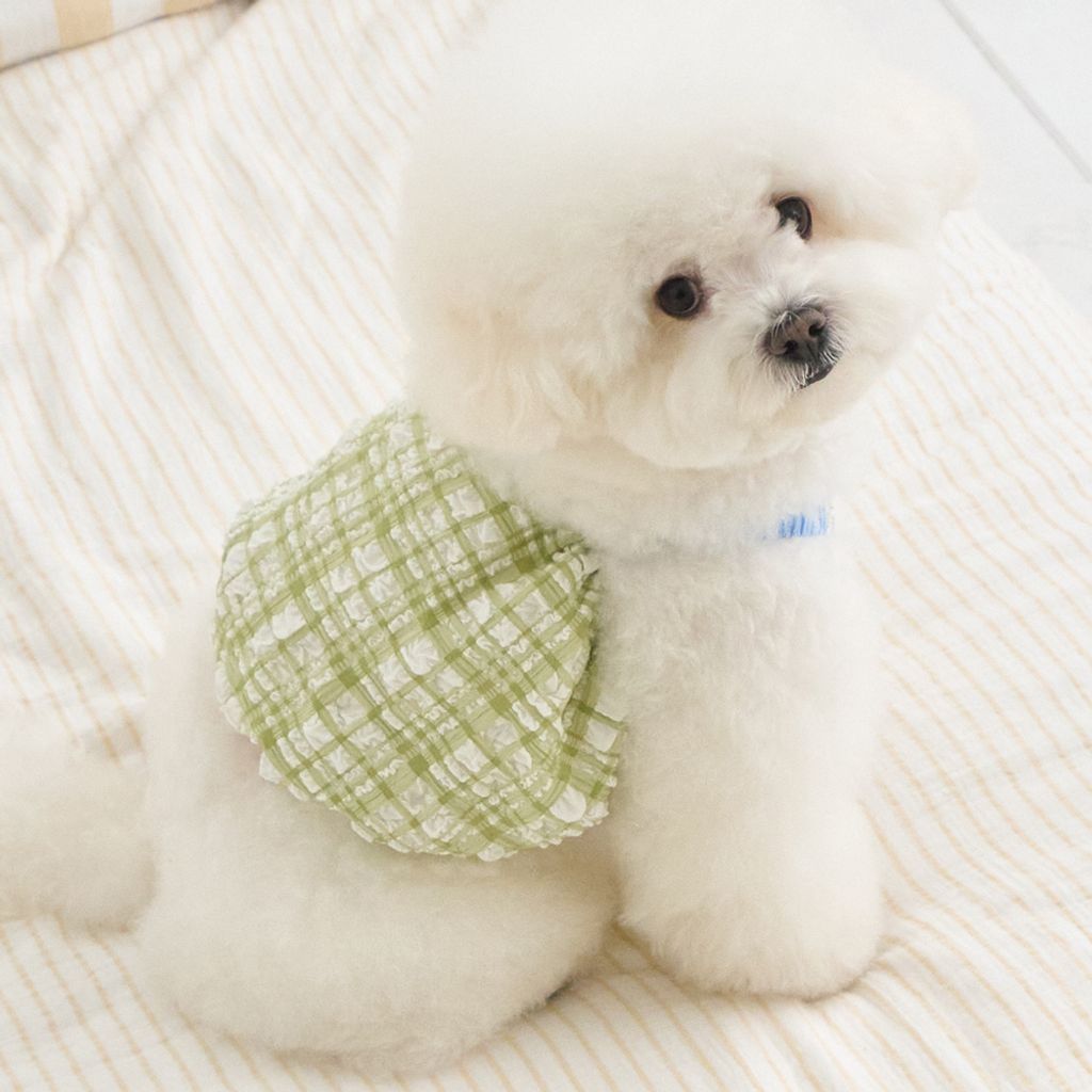 Bennys Citrus Balloon Top Green_Thumb