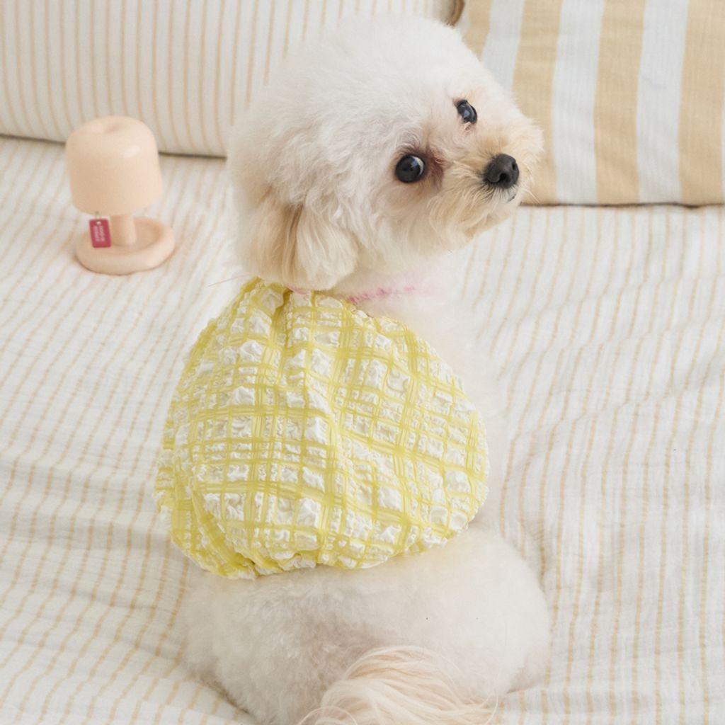 Bennys Citrus Balloon Top Yellow_Thumb