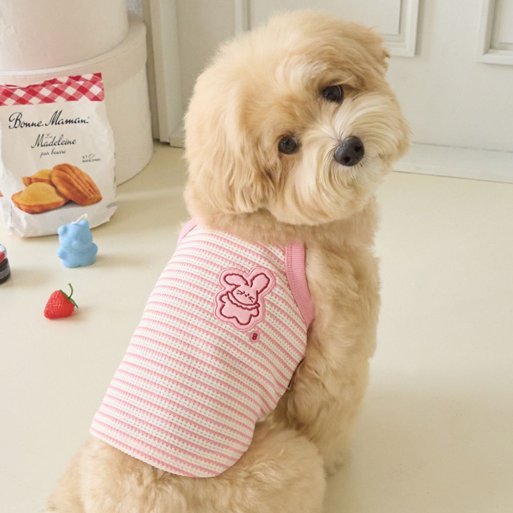 Bennys Dreamy Crop Top Pink_Thumb