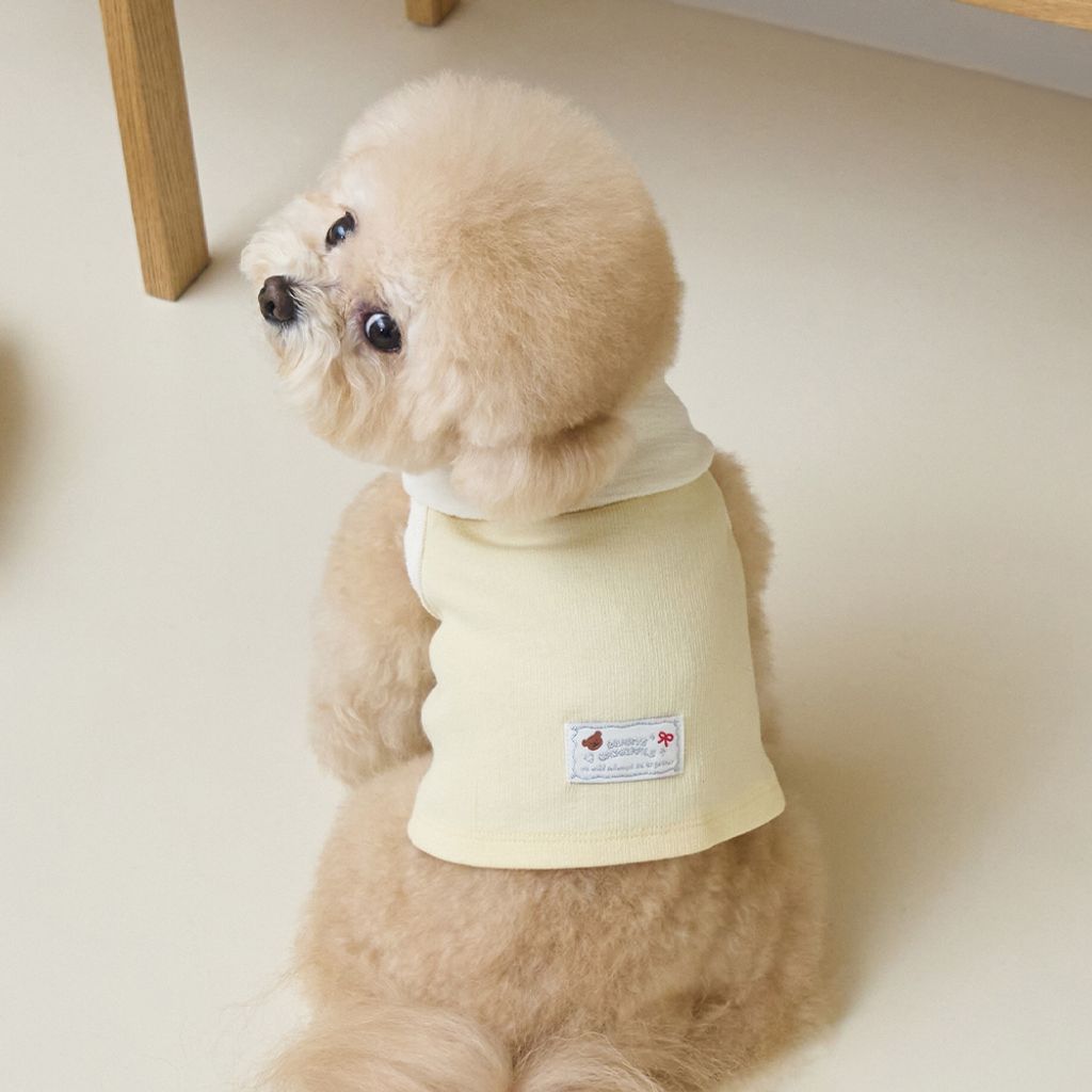 Bennys Bow Collar Crop T-shirt Yellow_Thumb