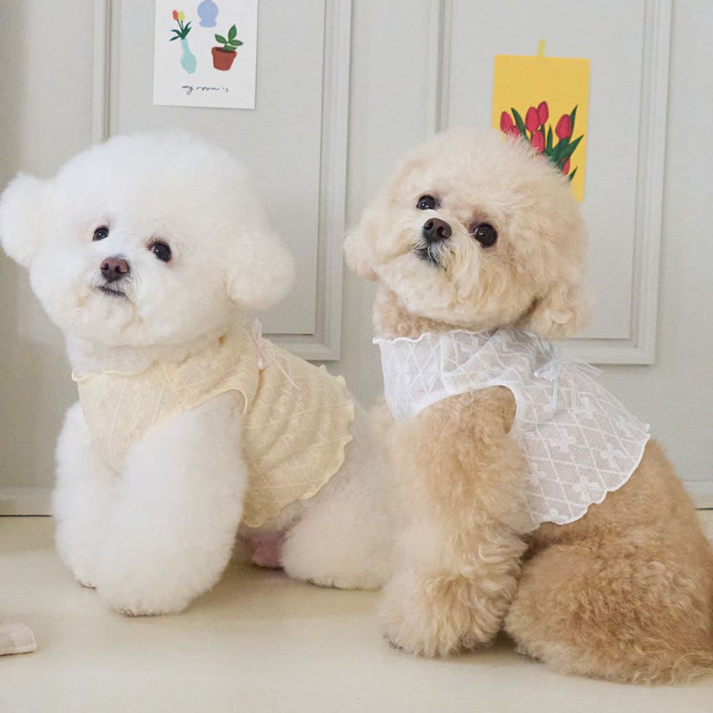 22636381413358669_2006957811