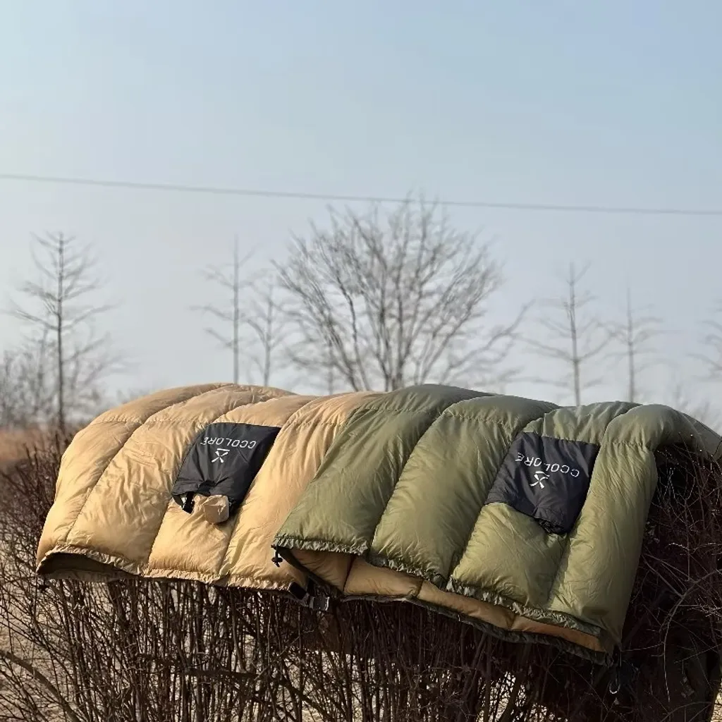 IMG_1893-1733892595820