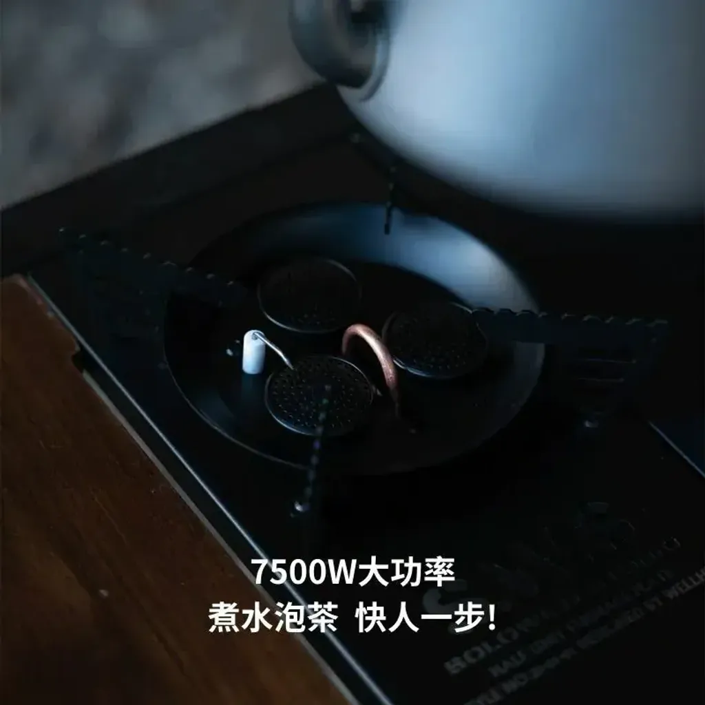 800x (3)