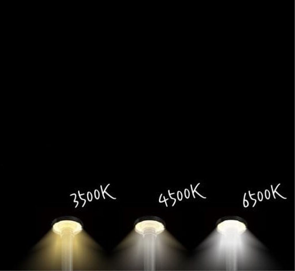 800x