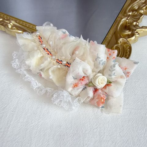 image_645235D7-BD33-4995-90F6-3A413A744174_1775746478