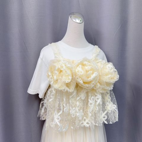 image_C2A991B4-6F2B-4126-B7B8-C5CCCACEB31B_1778979391