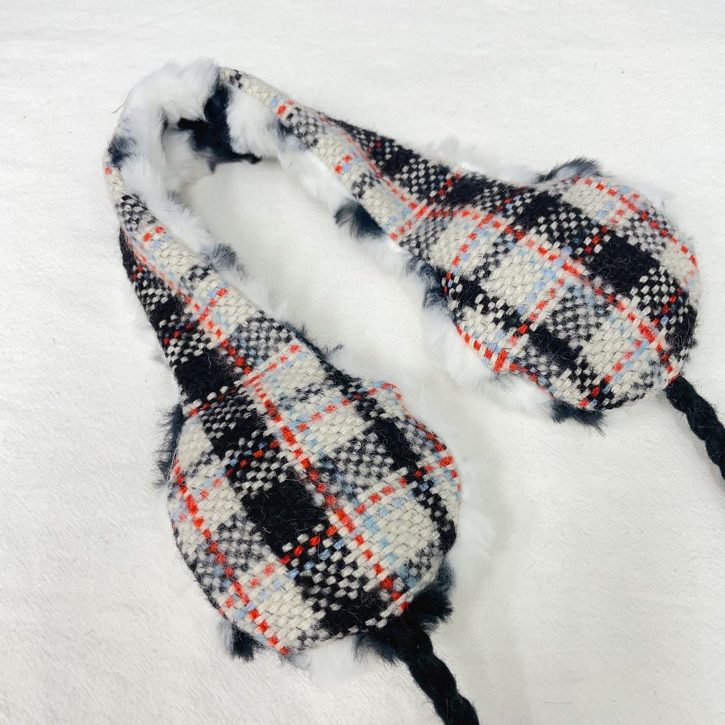 image_24B57114-80E3-4CCB-AD3C-9480F579976A_1765094810