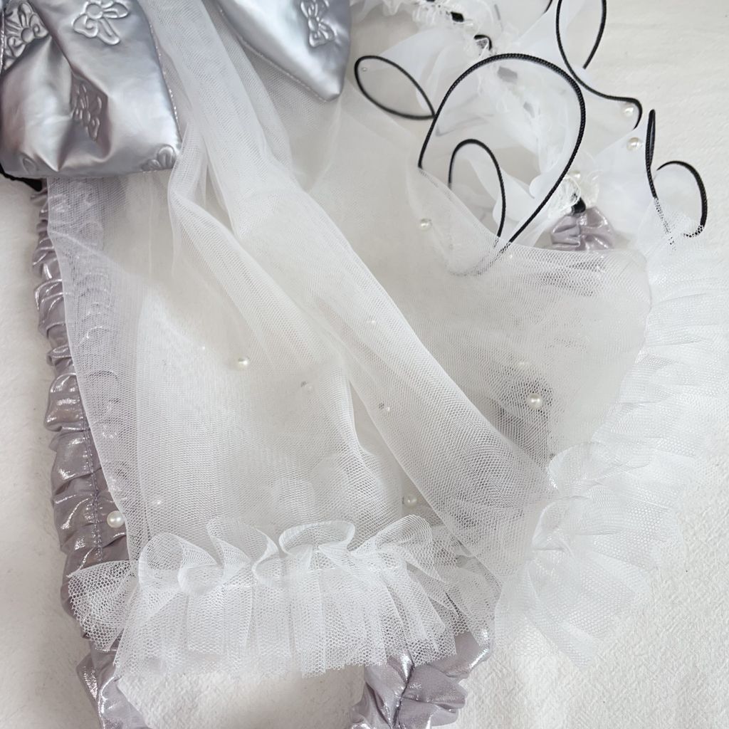 image_2F41934C-9C20-4113-BDEF-C10264F2BADD_1766224485