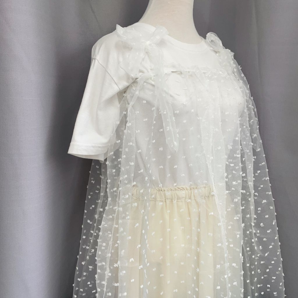 image_837901B0-1353-4C8A-B9A4-BB3551432E5E_1766849161