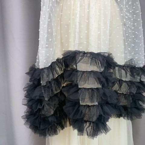 image_CBEC4E0B-0652-4ECB-8594-1CF3B2FFE2F3_1766849161