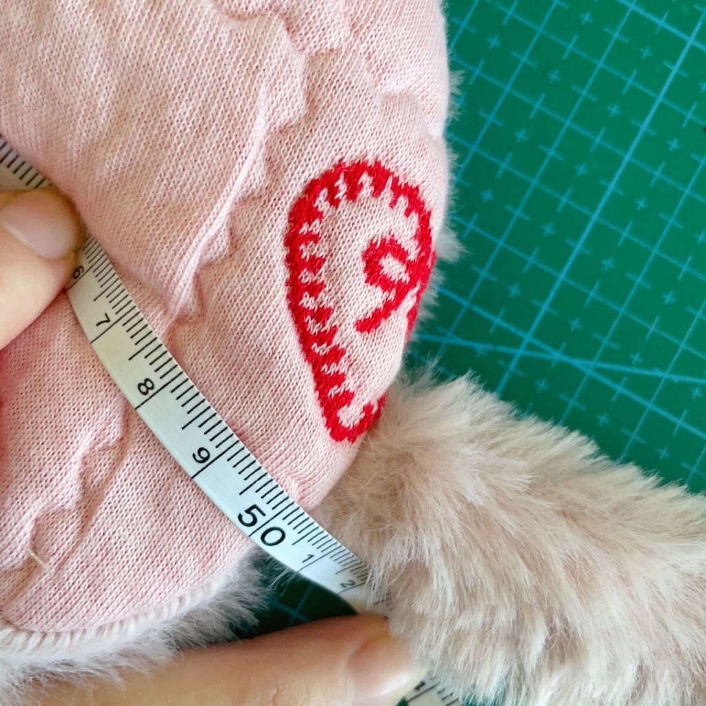 image_4E4B2E4E-0021-4E69-860A-E4D1861F2C82_1768100029