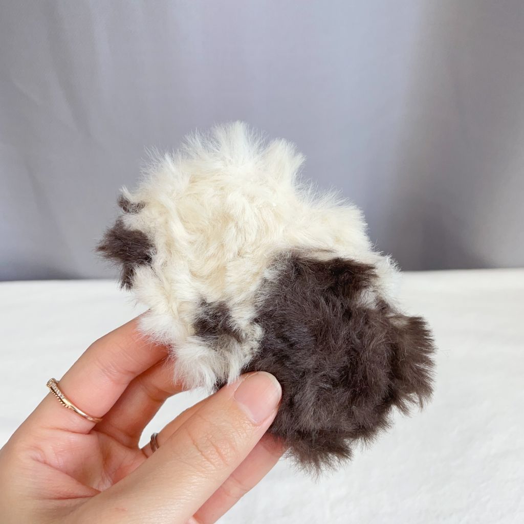 image_7DB367EF-5F6C-49D2-8025-ADCD7B51CBFC_1768666356