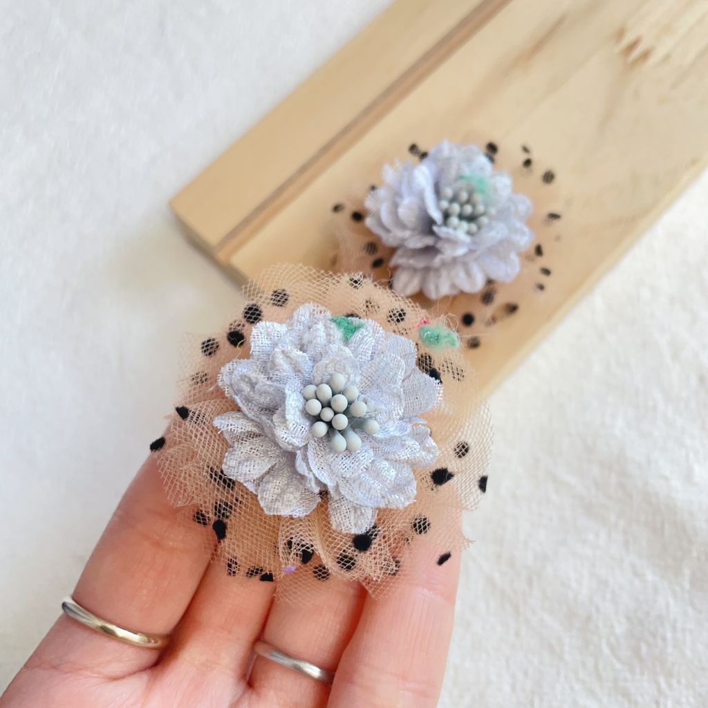 image_453733F9-15D2-4491-A988-9BF59B81B390_1769303850