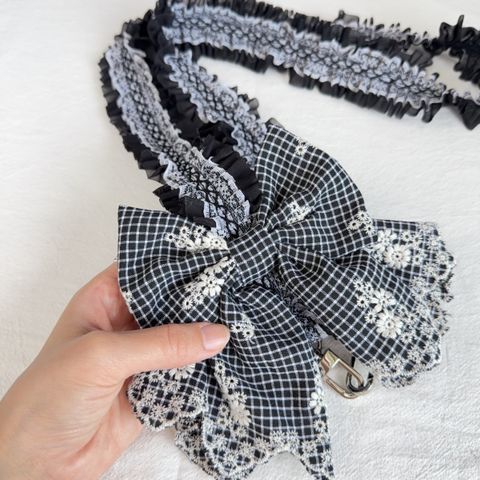 image_0C8D9371-FAD2-40B5-BCCA-E524257C765B_1772341126