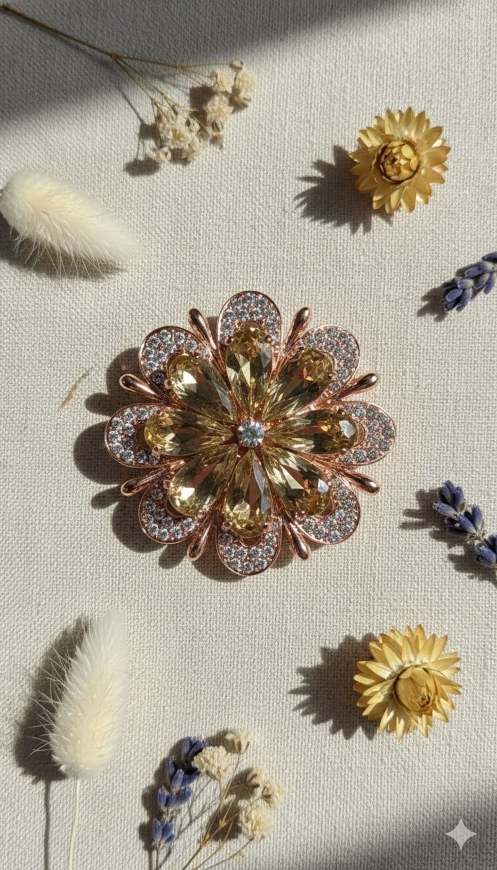 image_FACB5484-FE14-467C-A370-5D7626E998B1_1764783740