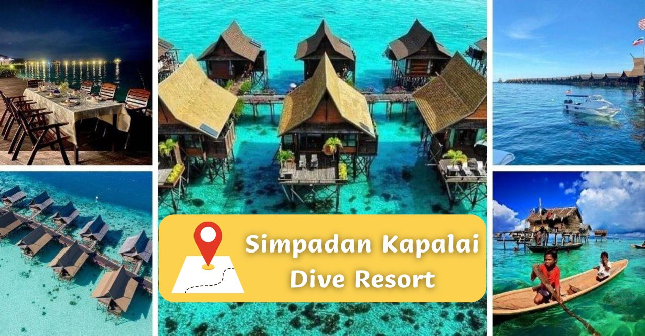 WhatsApp Image 2022-10-22 at 12.17.58 PM