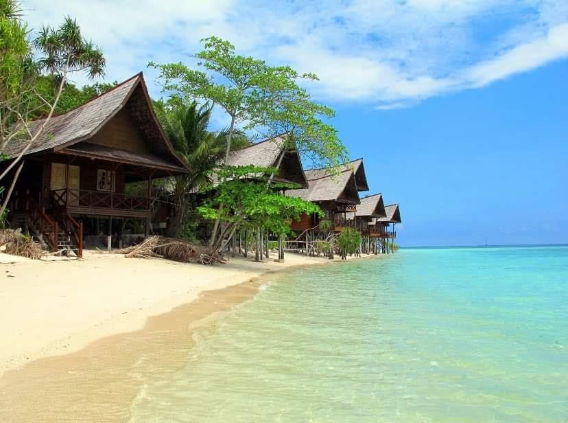 98342331_2614907712117705_7151862941527048192_n