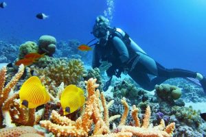 shutterstock_1022309644-1366x800@2x-300x200