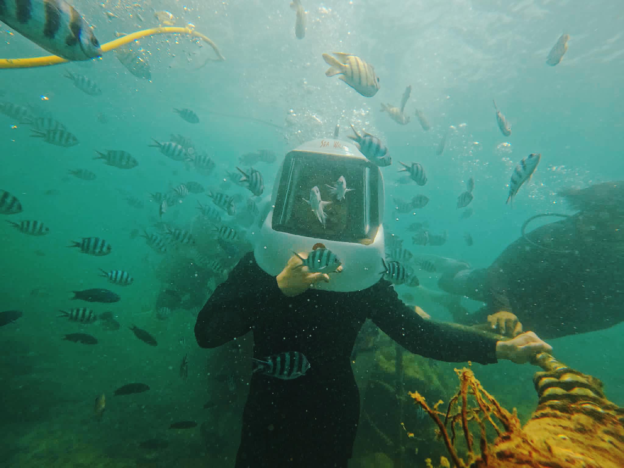 306513604_10225690022890164_698691836940967534_n 306513604_10225690022890164_698691836940967534_n