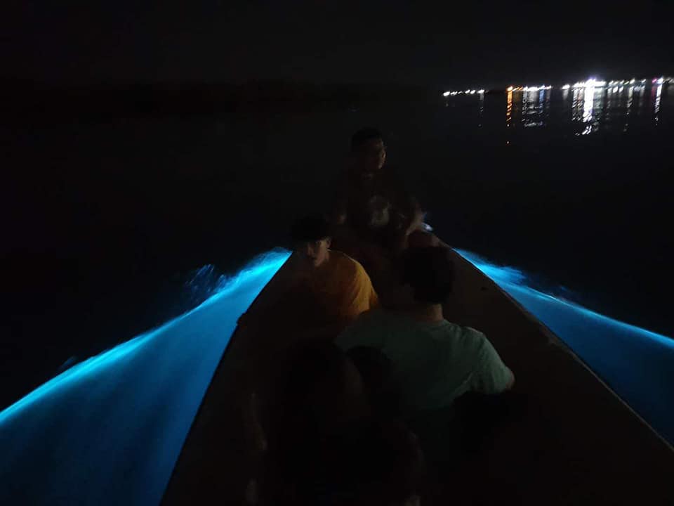 102682086_3576089735750767_1497909274793870927_n