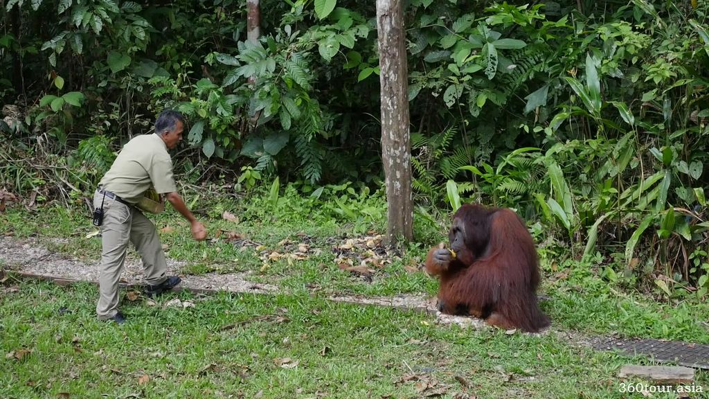 semmengohwildlife19