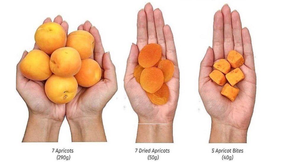 APRICOT