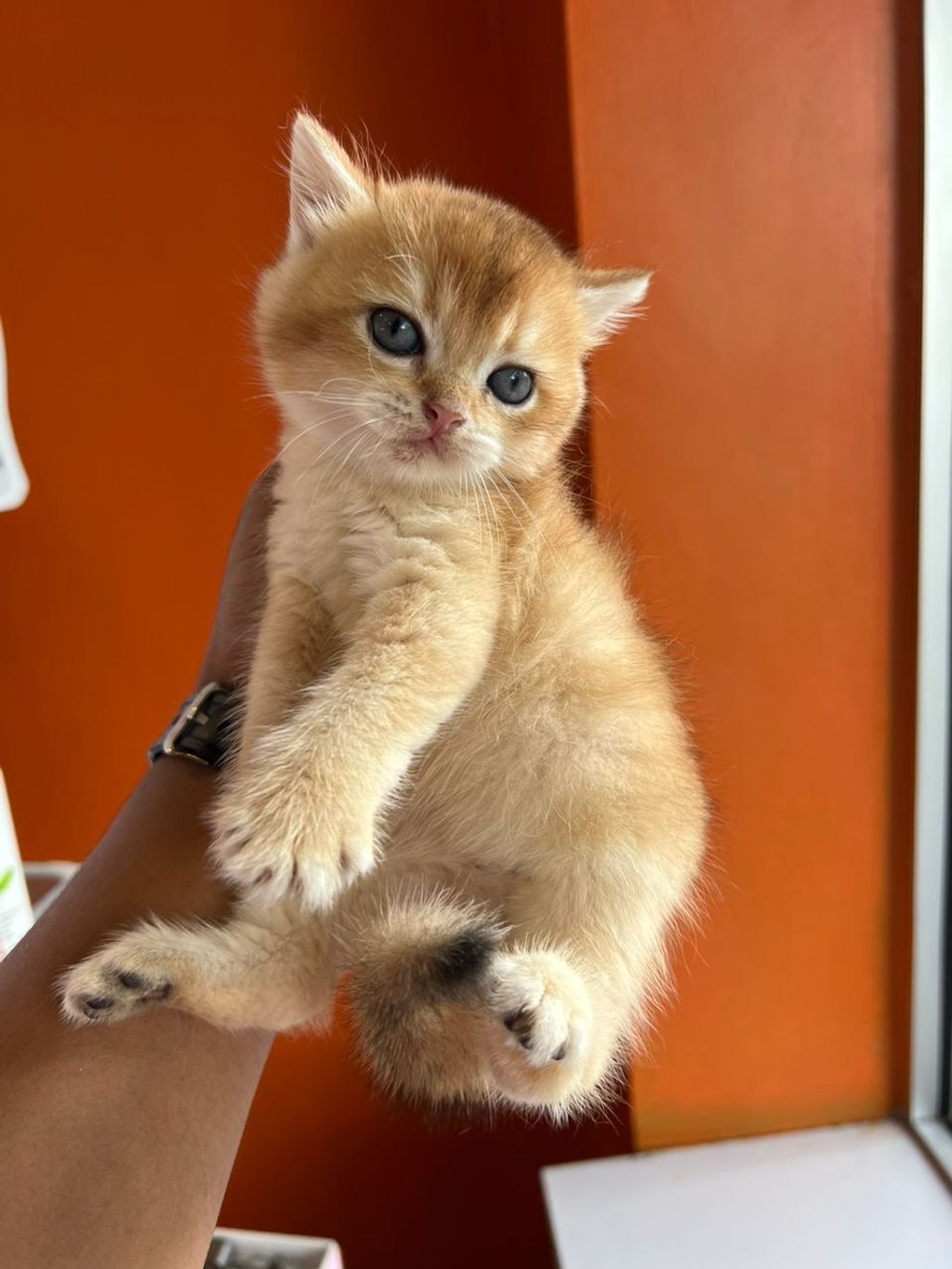 6c7e1b6e-95e7-4e9b-9e24-86d9503f2201