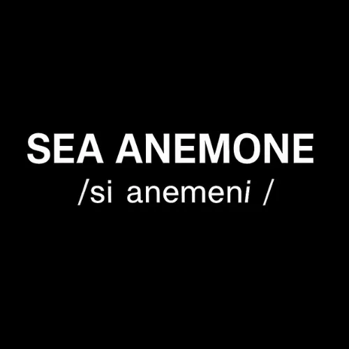 SEA ANEMONE
