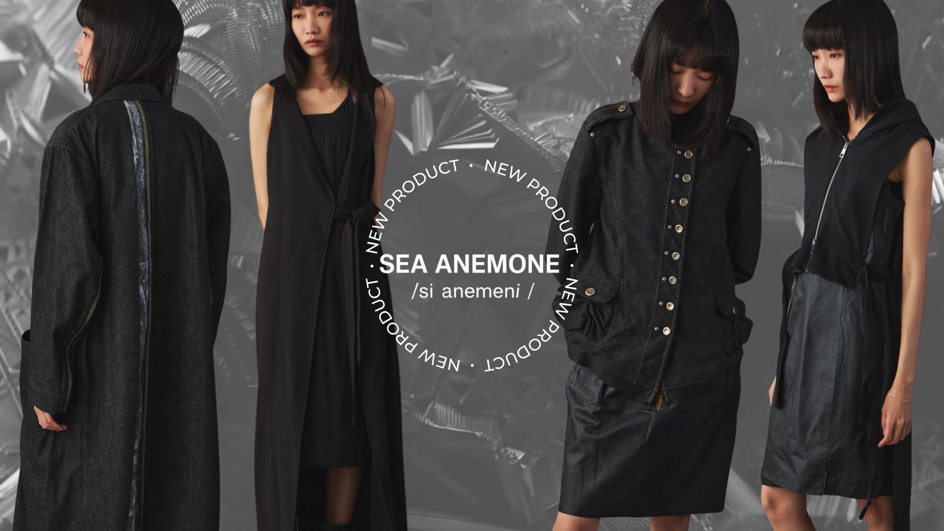  | SEA ANEMONE