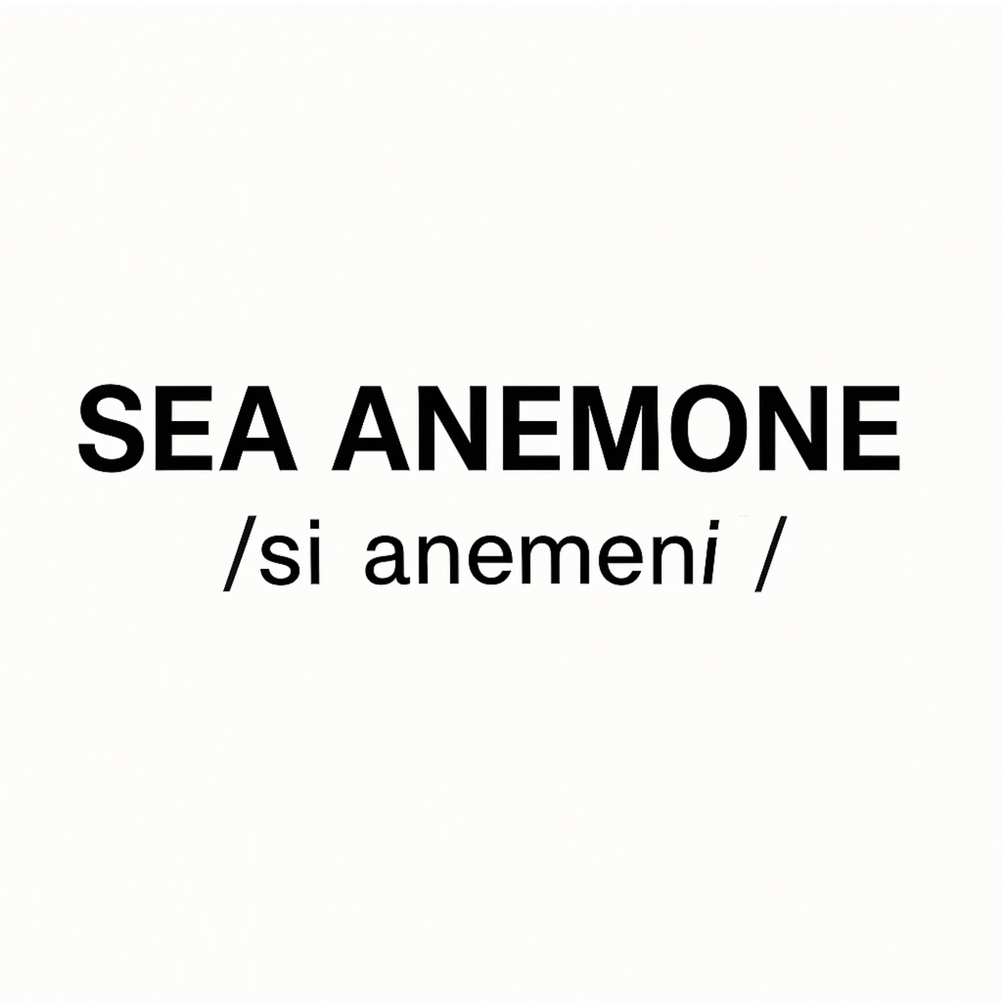 SEA ANEMONE