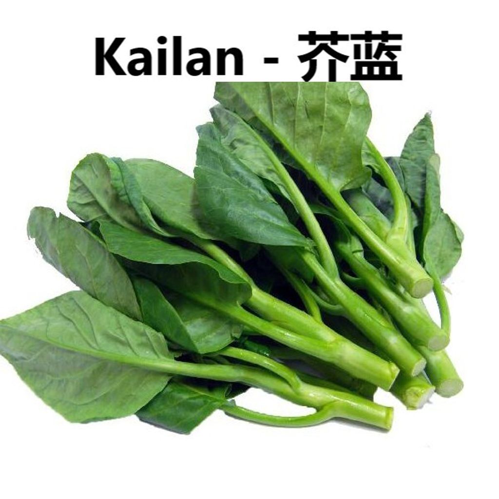 Kailan