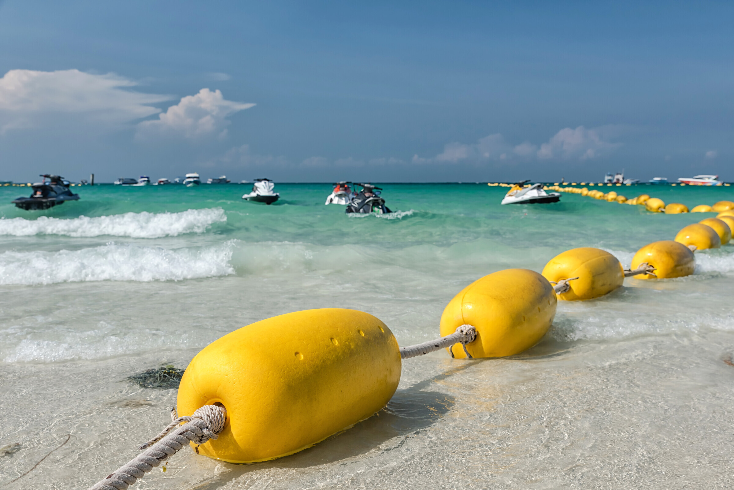 48932630_l_normal_none