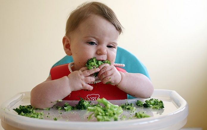 7 CARA MELATIH ANAK  ANDA MAKAN  SENDIRI IBU BAPA PERLU 